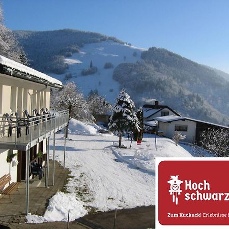 Steiert Panorama Apartments Todtnau Luaran gambar