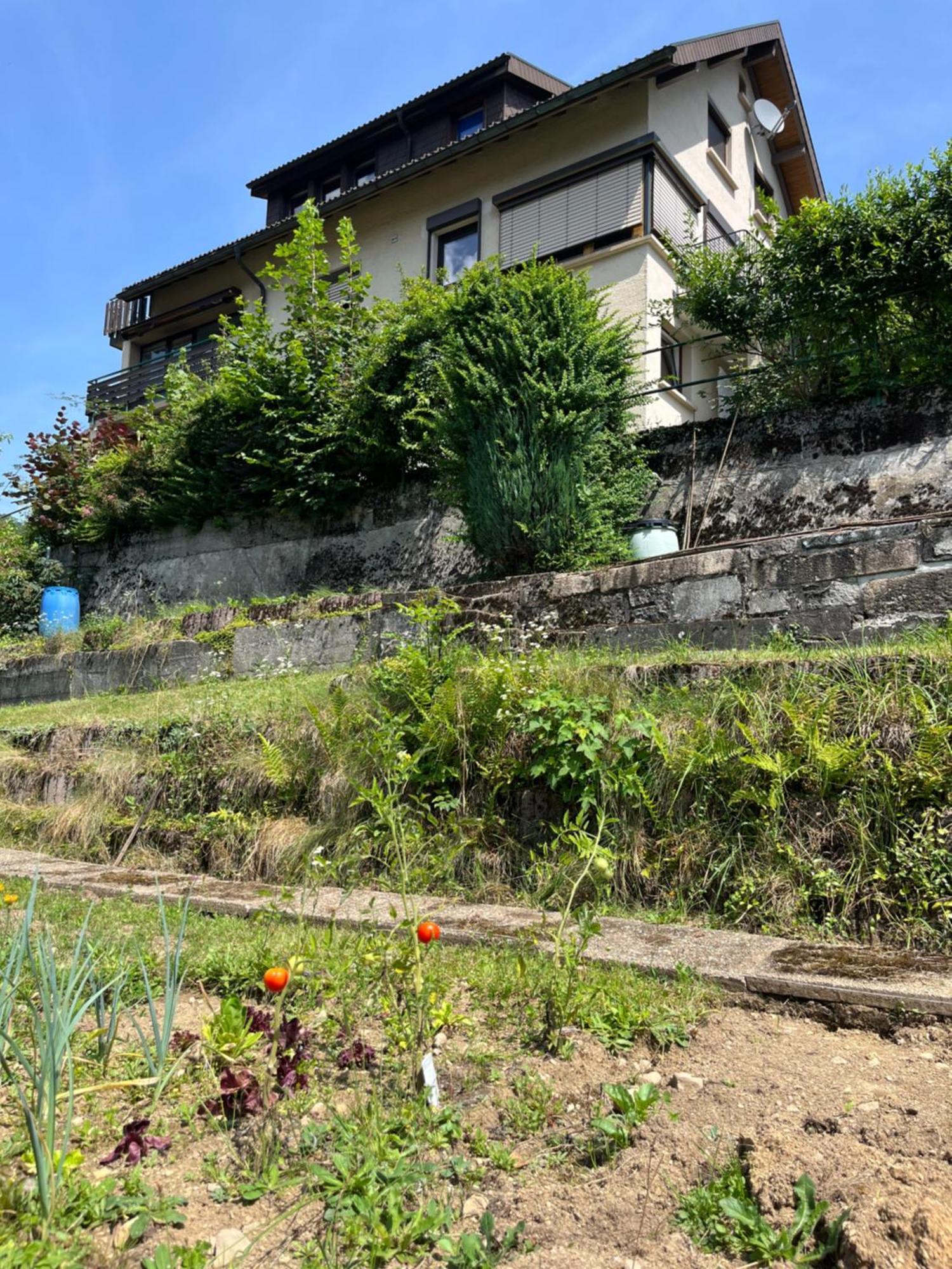 Steiert Panorama Apartments Todtnau Luaran gambar