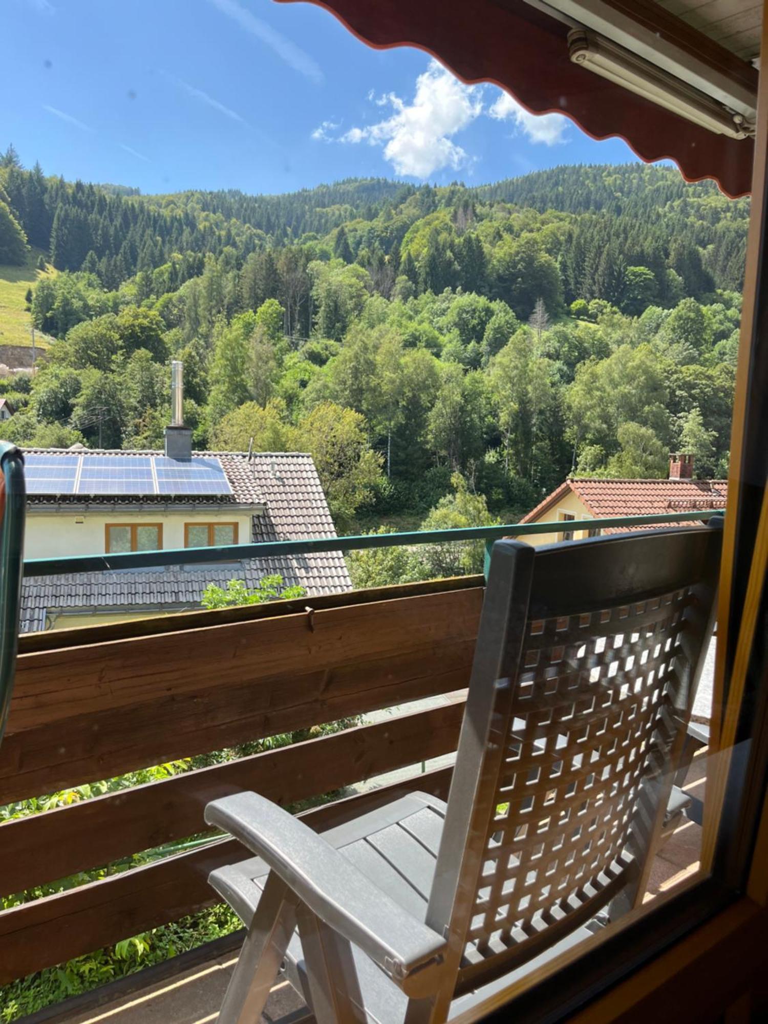 Steiert Panorama Apartments Todtnau Luaran gambar