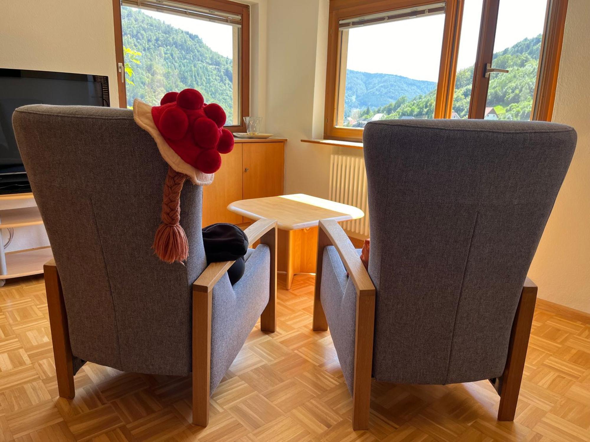 Steiert Panorama Apartments Todtnau Luaran gambar