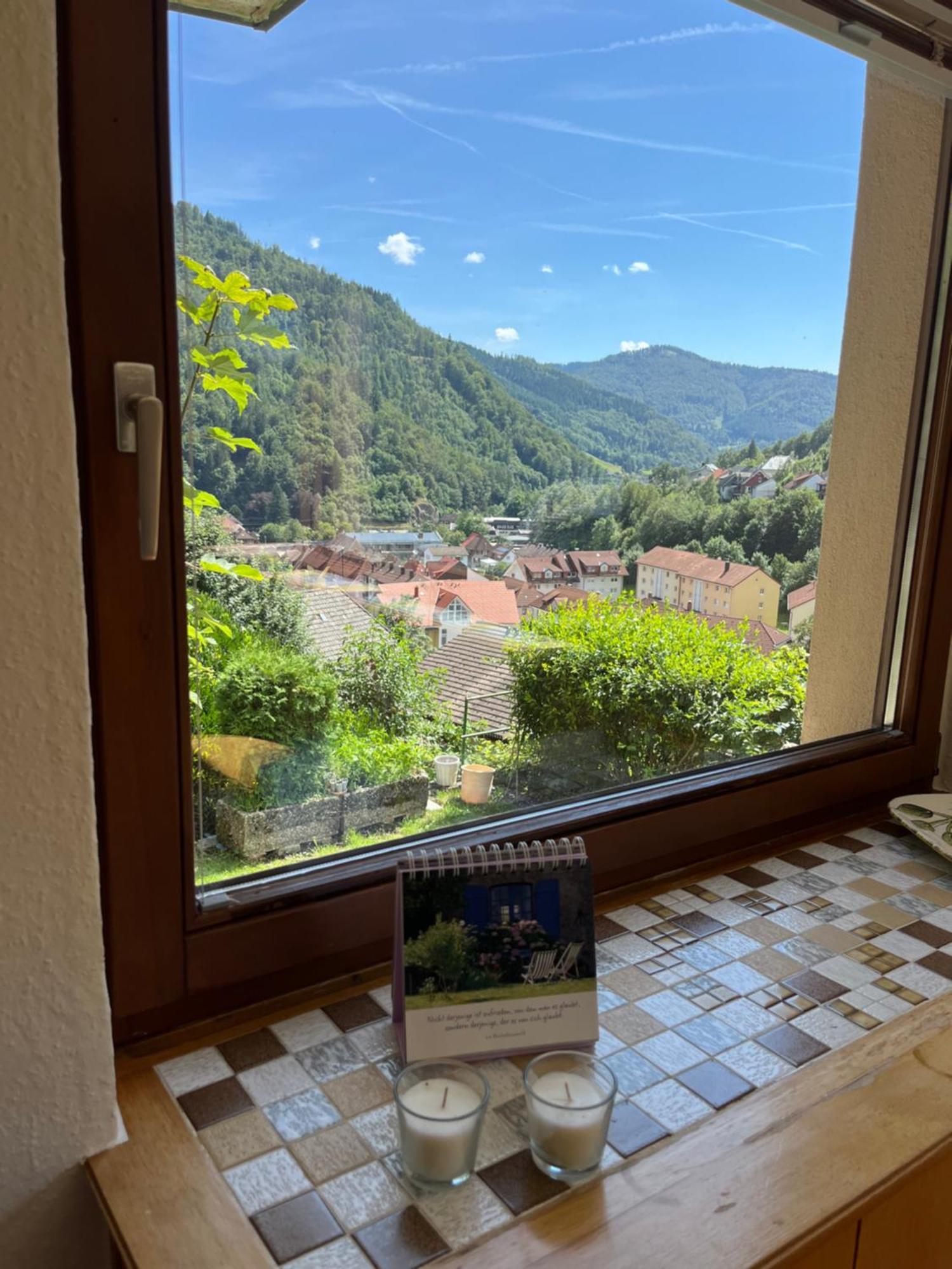 Steiert Panorama Apartments Todtnau Luaran gambar