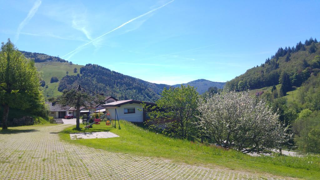 Steiert Panorama Apartments Todtnau Luaran gambar