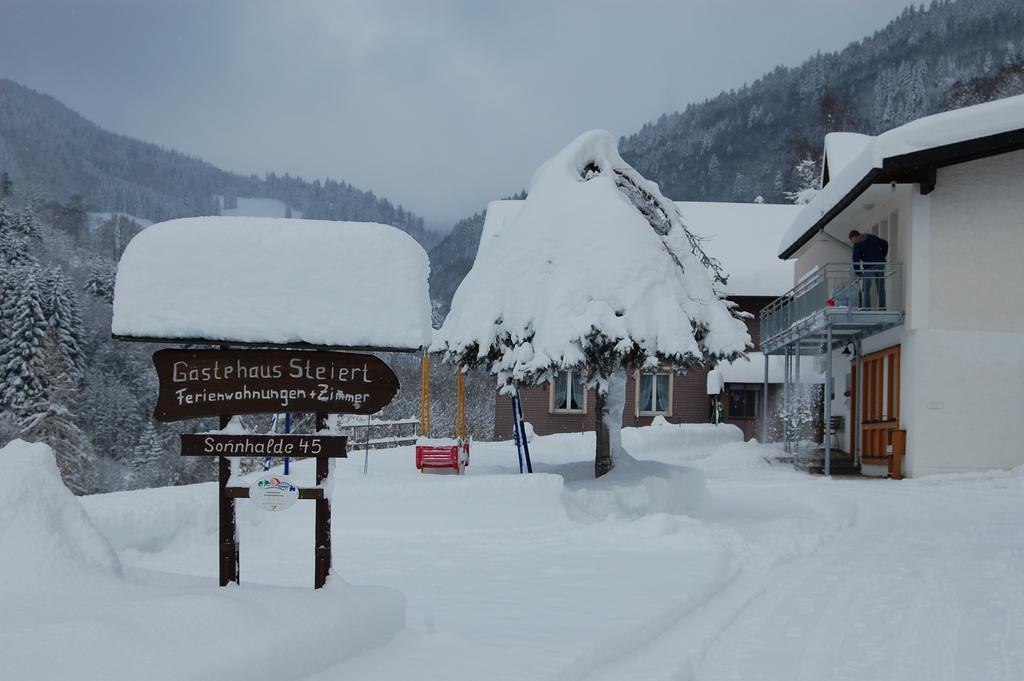 Steiert Panorama Apartments Todtnau Luaran gambar