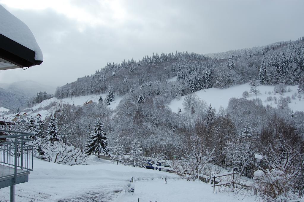 Steiert Panorama Apartments Todtnau Luaran gambar