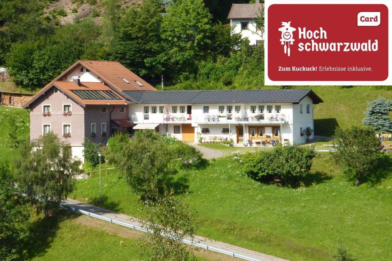 Steiert Panorama Apartments Todtnau Luaran gambar