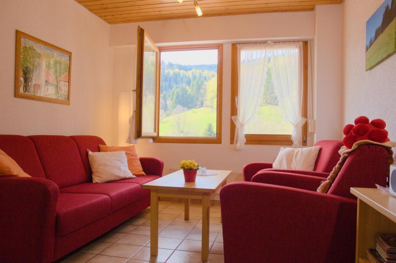 Steiert Panorama Apartments Todtnau Luaran gambar